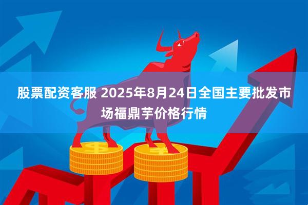 股票配资客服 2025年8月24日全国主要批发市场福鼎芋价格行情