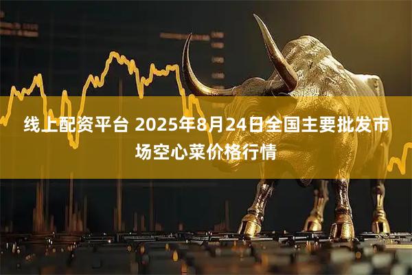 线上配资平台 2025年8月24日全国主要批发市场空心菜价格行情
